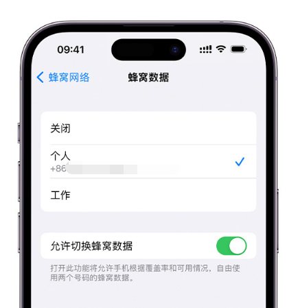 呼伦贝尔苹果维修服务分享如何在iPhone上使用双卡 